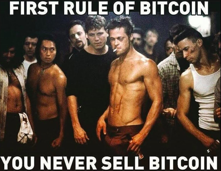 Bitcoin Hodl The fight Club