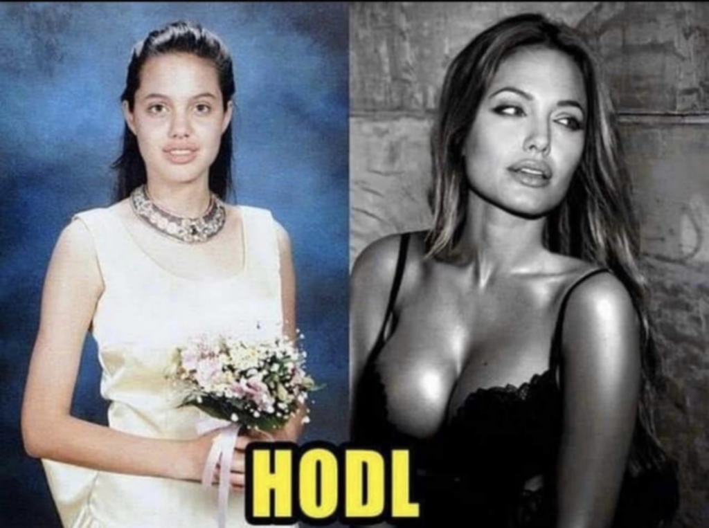Angelina Jolie was a HODLer