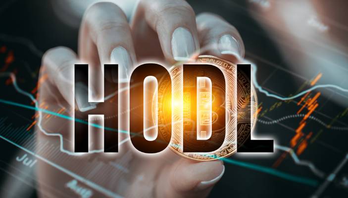 What Does HODL Mean? Hold On for Dear Life